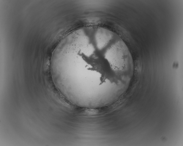 X0000110700369200907022003
