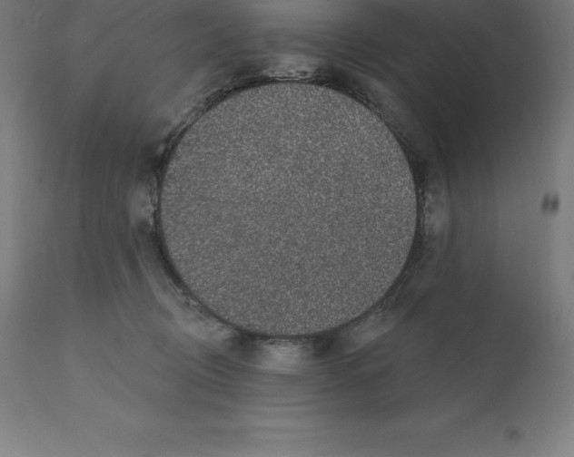 X0000110700370200907022003