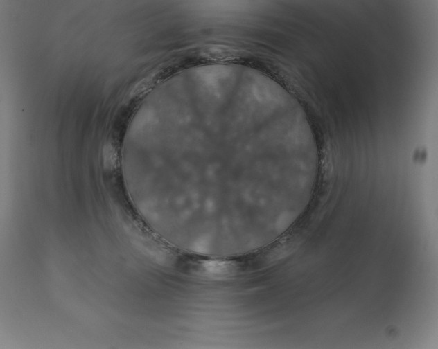 X0000110700371200907022003