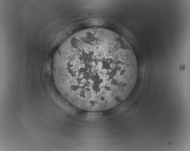 X0000110700373200907022003
