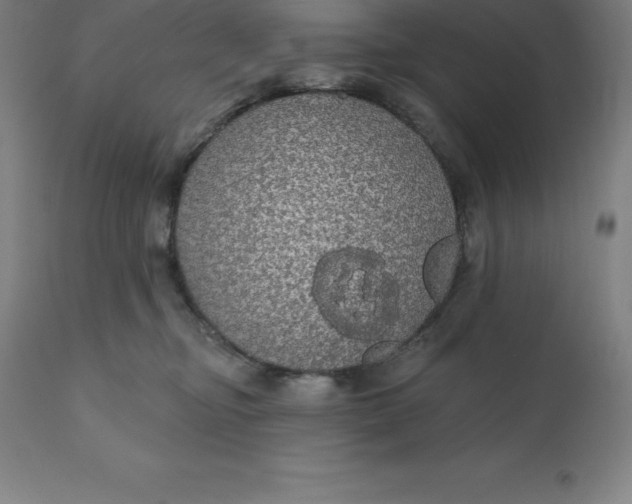 X0000110700374200907022003