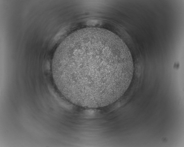 X0000110700375200907022003