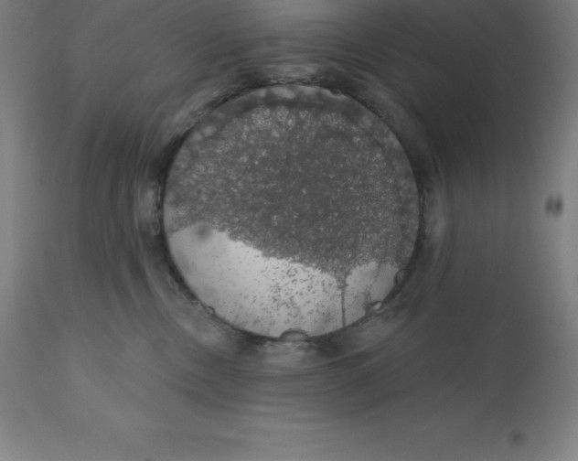 X0000110700378200907022004