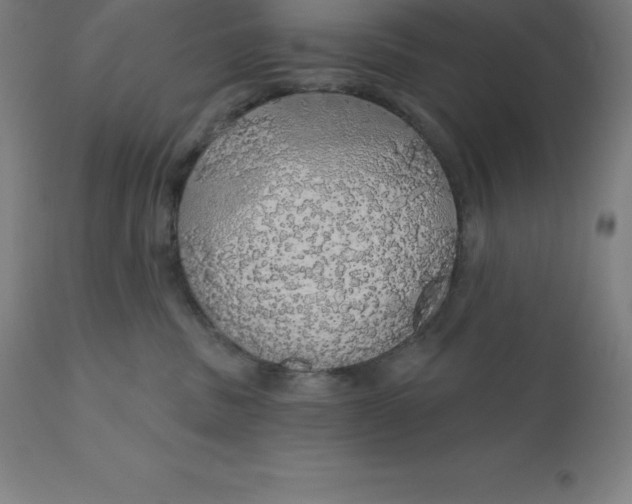 X0000110700379200907022004