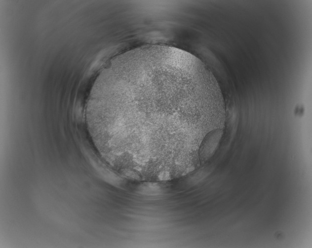 X0000110700381200907022004