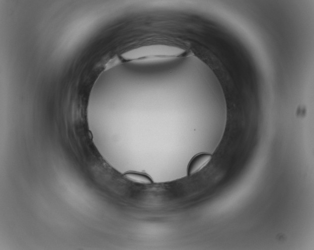 X0000110700382200907022004