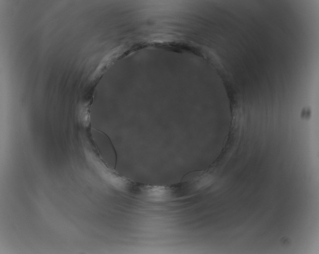 X0000110700383200907022004