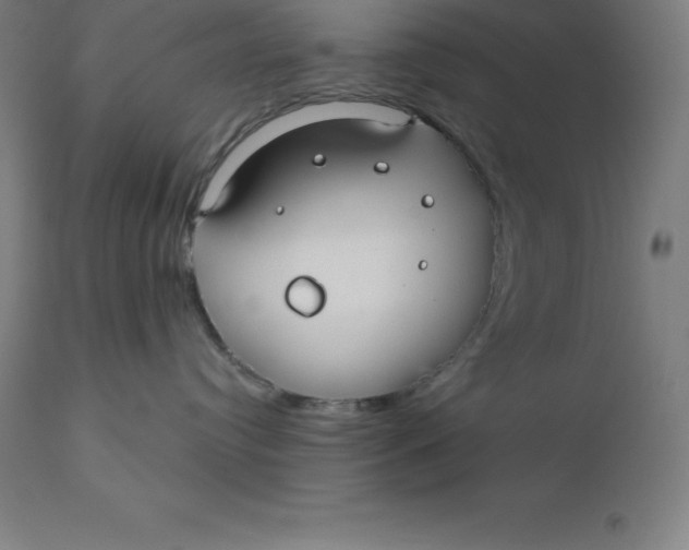X0000110700384200907022004