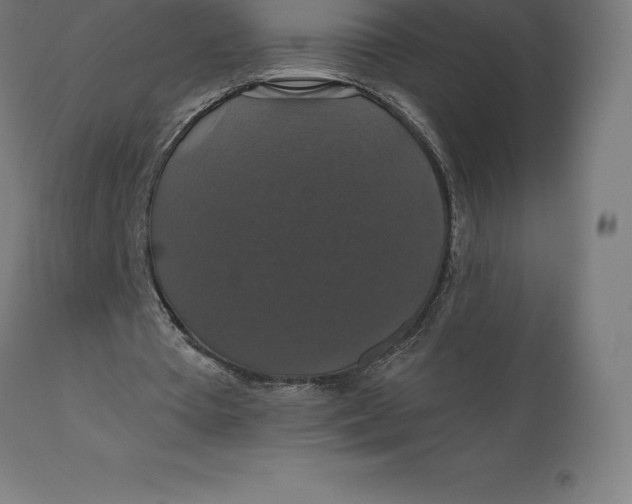 X0000110700385200907022003