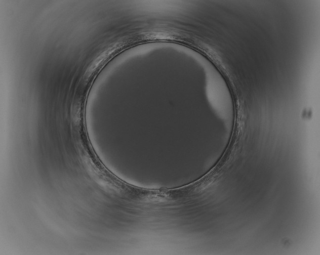 X0000110700386200907022003