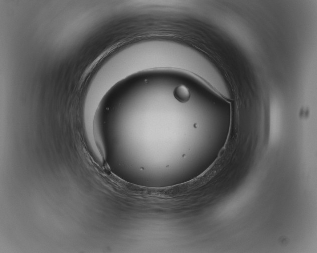 X0000110700387200907022003