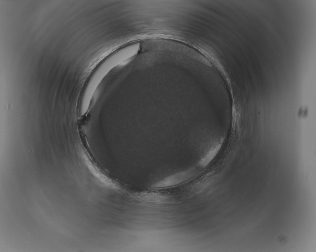 X0000110700389200907022003