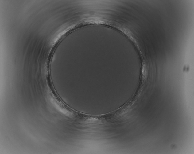 X0000110700390200907022003