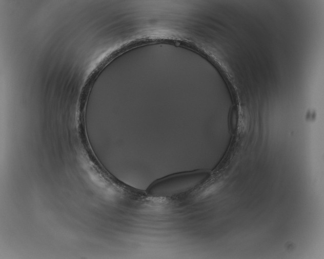 X0000110700391200907022003