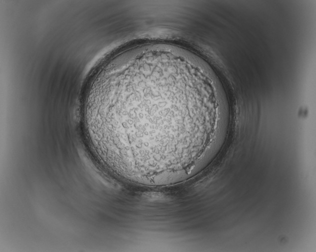 X0000110700392200907022003
