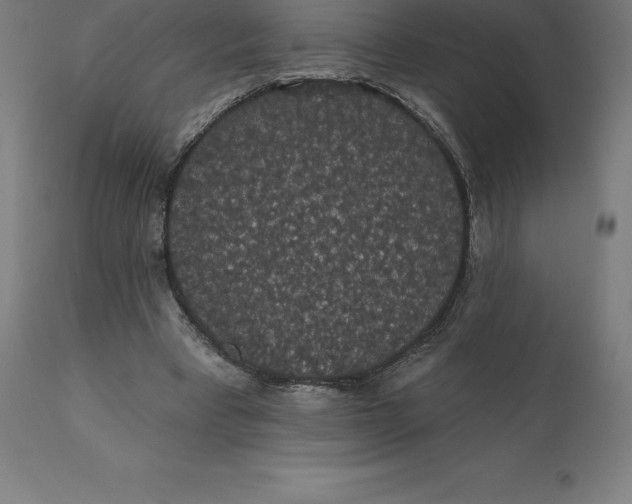 X0000110700393200907022003