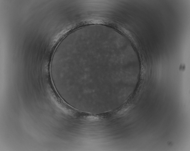 X0000110700394200907022003