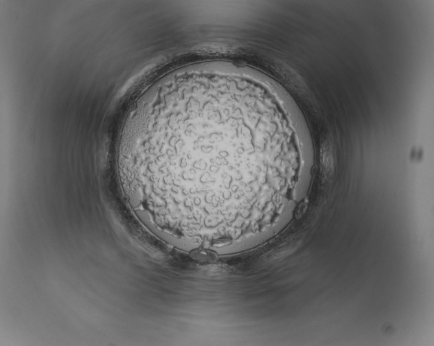 X0000110700396200907022003