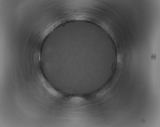 X0000110700397200907022003