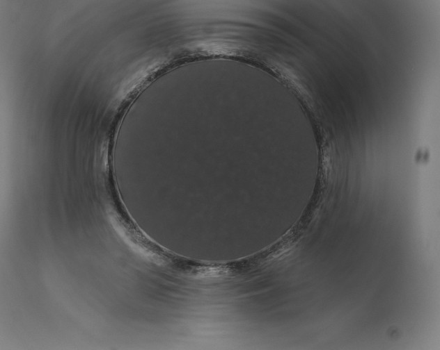 X0000110700398200907022002