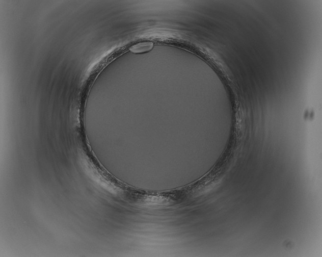 X0000110700399200907022002