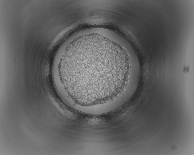 X0000110700400200907022002