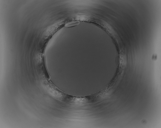 X0000110700401200907022002