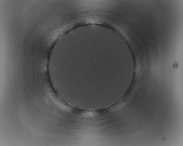 X0000110700402200907022002