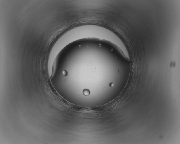 X0000110700403200907022002