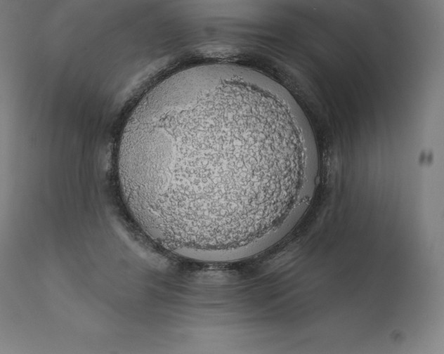 X0000110700404200907022002