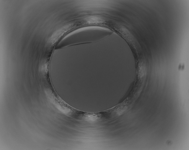 X0000110700405200907022002