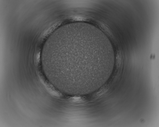 X0000110700406200907022002