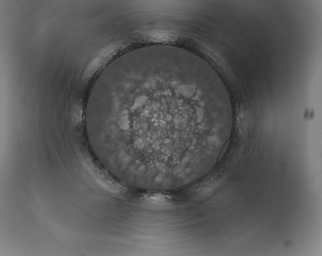 X0000110700407200907022002