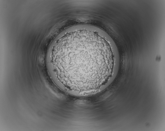X0000110700408200907022002