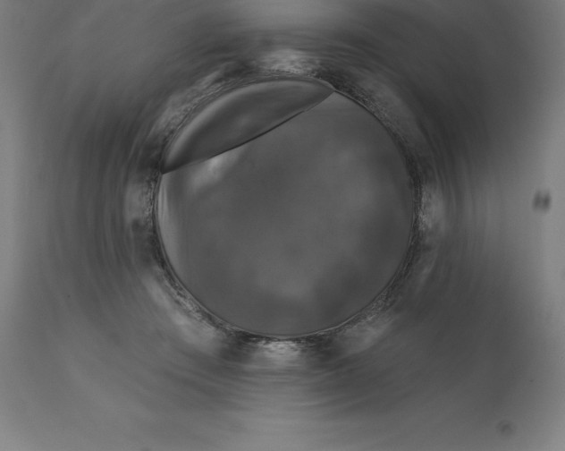 X0000110700409200907022002