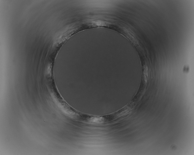 X0000110700410200907022002