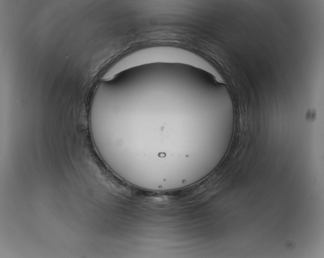 X0000110700411200907022002