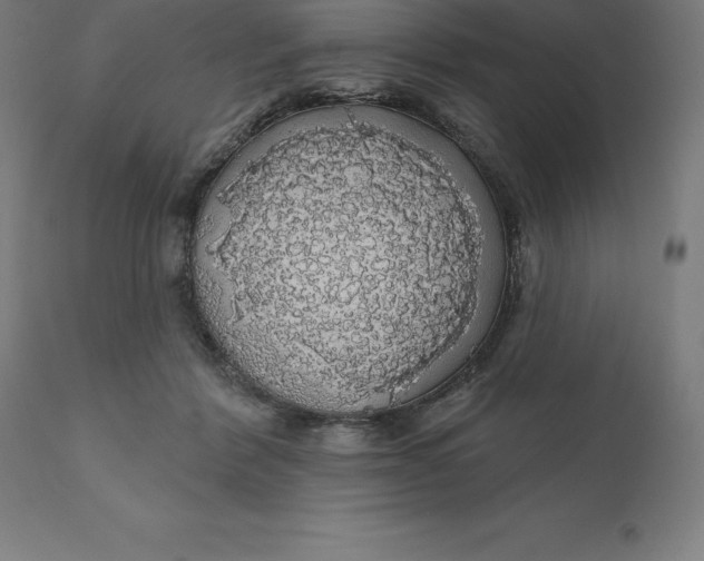 X0000110700412200907022002