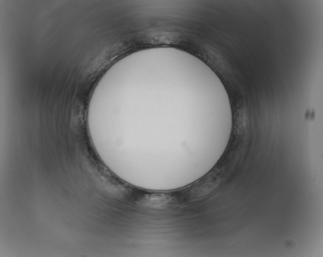 X0000110700414200907022002
