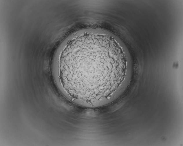 X0000110700416200907022002