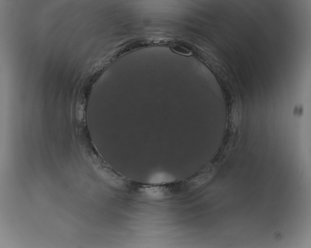 X0000110700417200907022002