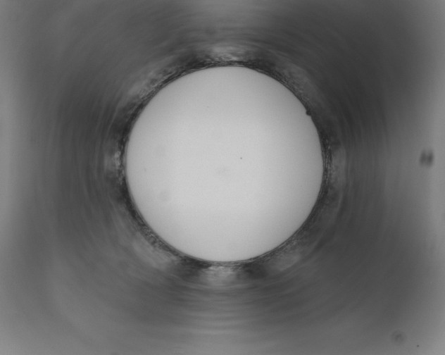 X0000110700418200907022002