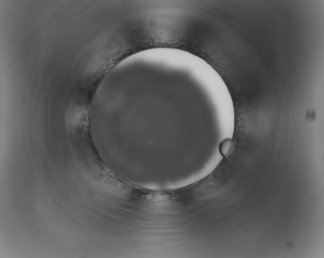 X0000110700419200907022002