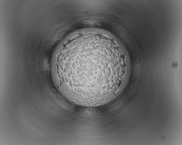 X0000110700420200907022002