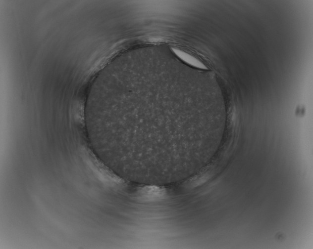 X0000110700421200907022002