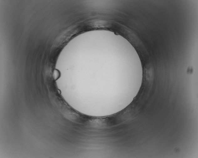 X0000110700422200907022002