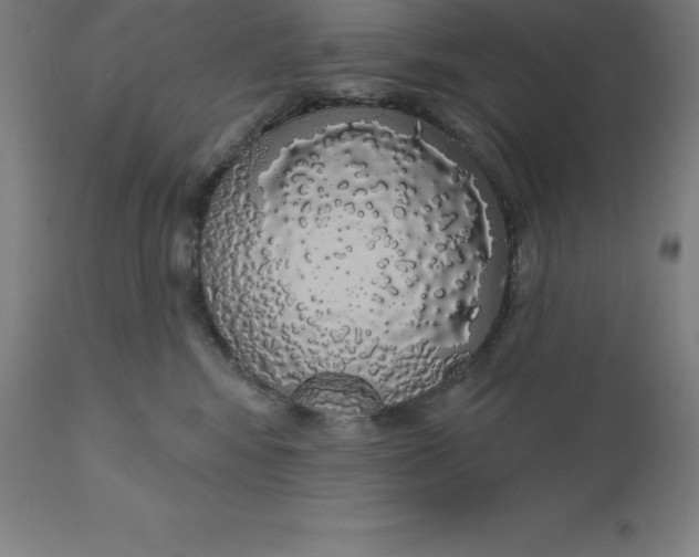 X0000110700424200907022002