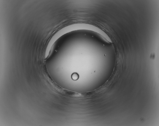 X0000110700425200907022002