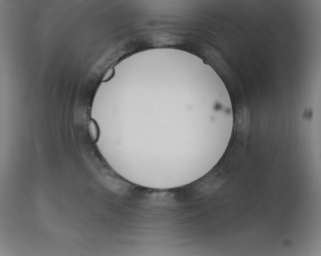 X0000110700426200907022002