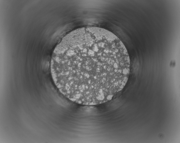 X0000110700427200907022002